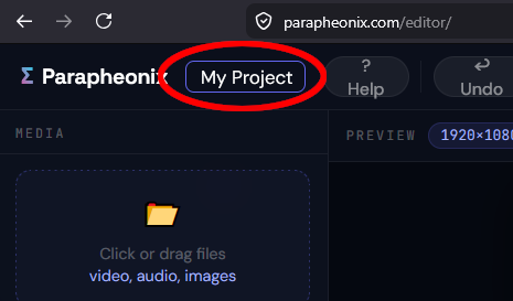 Project Name Field