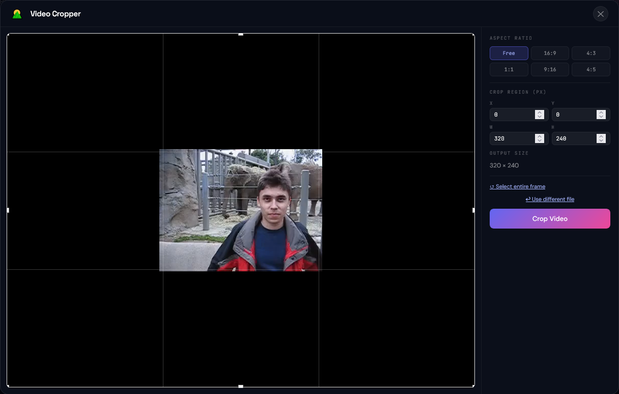 Video Cropper